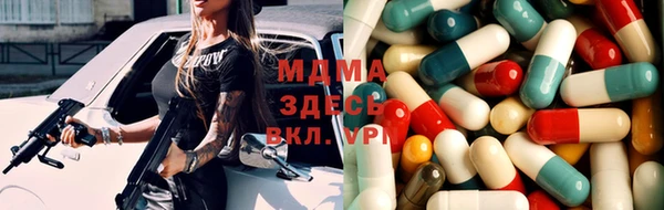 прущие грибы Приозерск