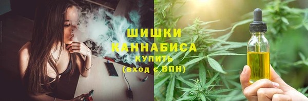 PSILOCYBIN Арсеньев