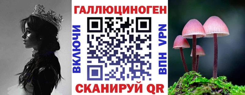 Галлюциногенные грибы GOLDEN TEACHER  цена   Опочка 